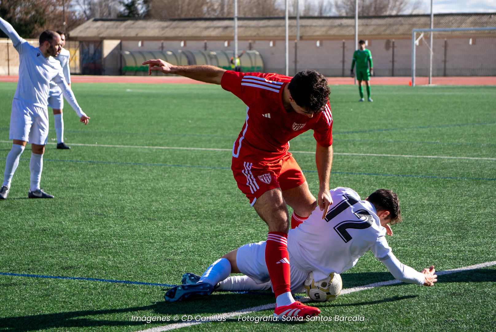 CD CANILLAS - SONIA SANTOS BARCALA (6)